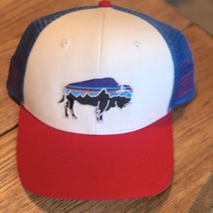 American Patagonia Truckers Hat